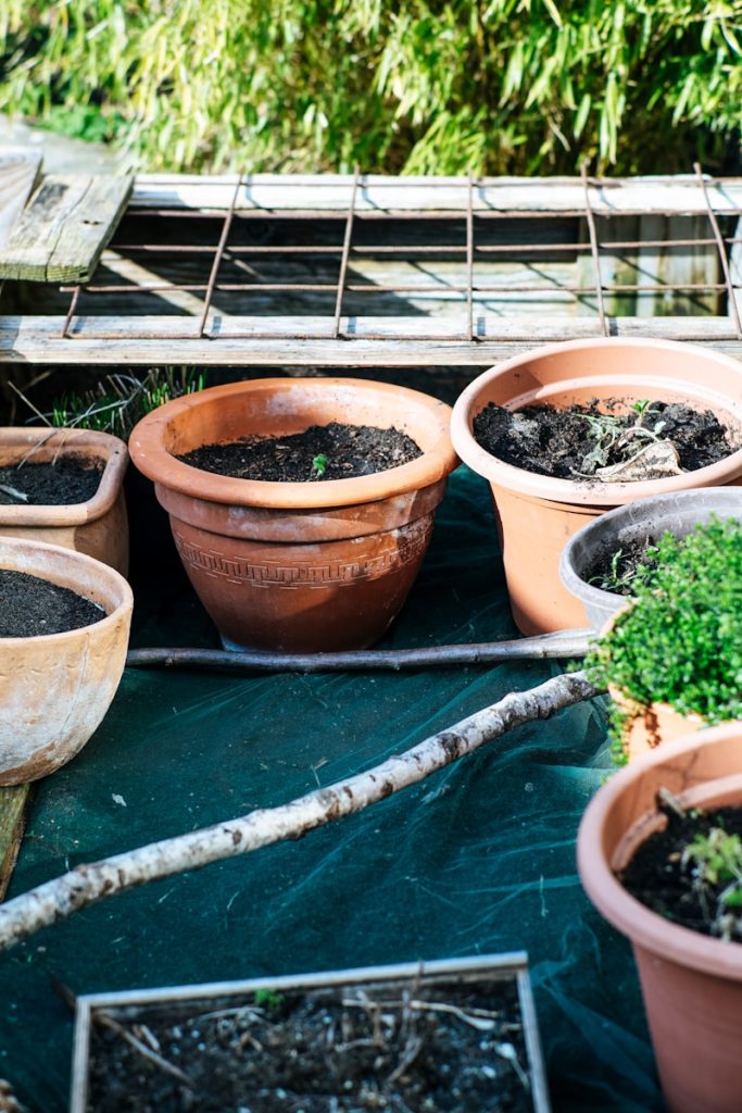 Coforge and Salesforce Launch ENZO Sustainability Solution brown clay pot on blue wooden table