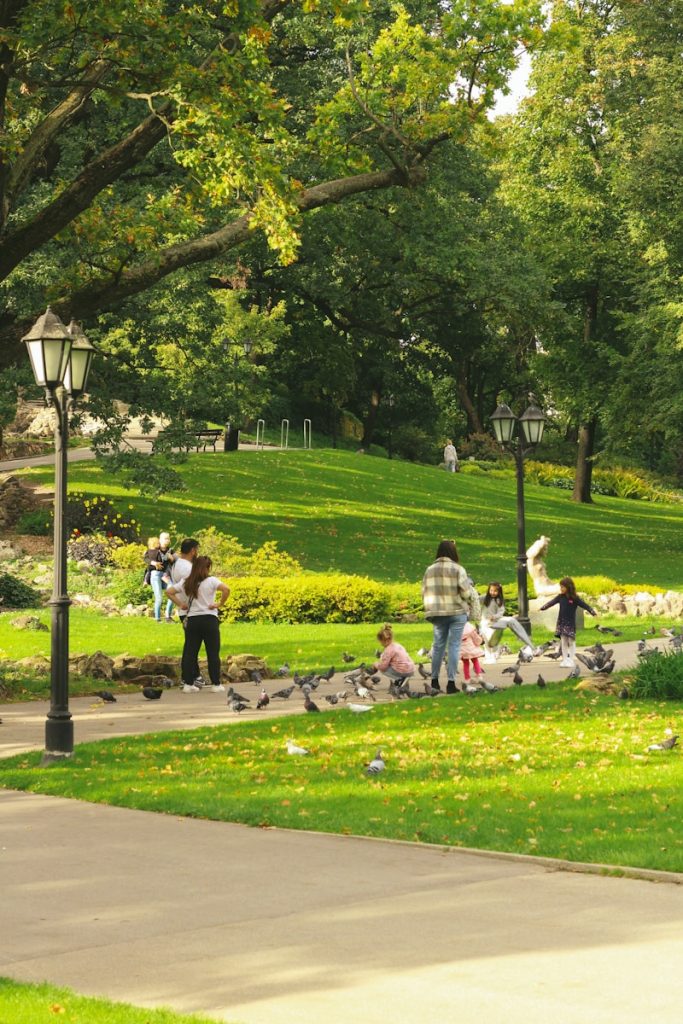 a group of people sitting on the grass in a park