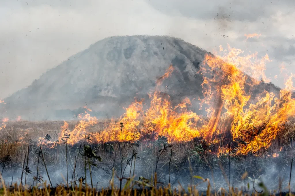 UK wildfire emergency alert